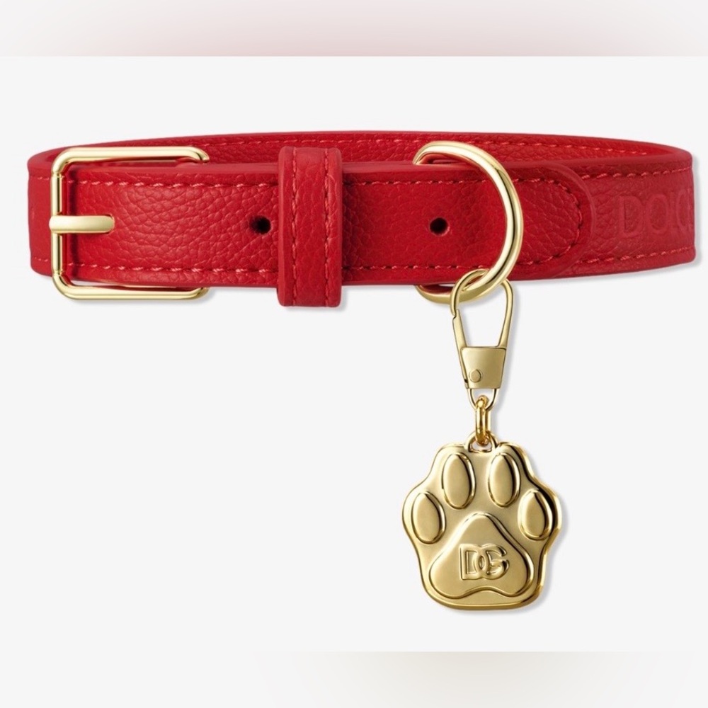 Brand New- Dolce & Gabbana "Fefe" Dog Collar 🐩